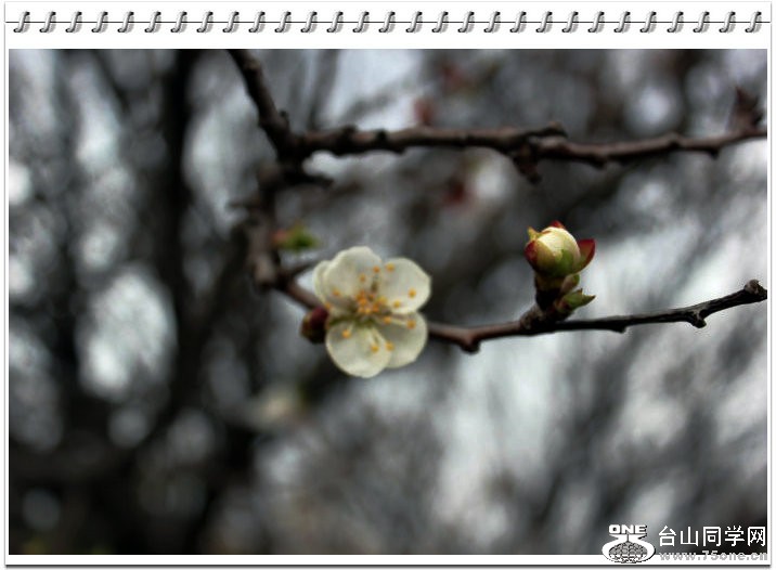 2012_02210052.JPG