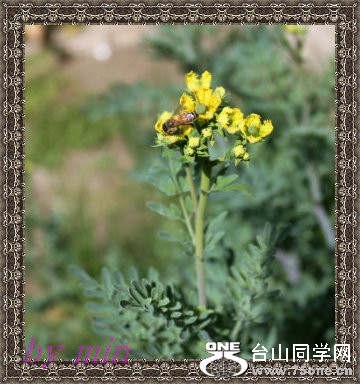 2012_03010075.JPG