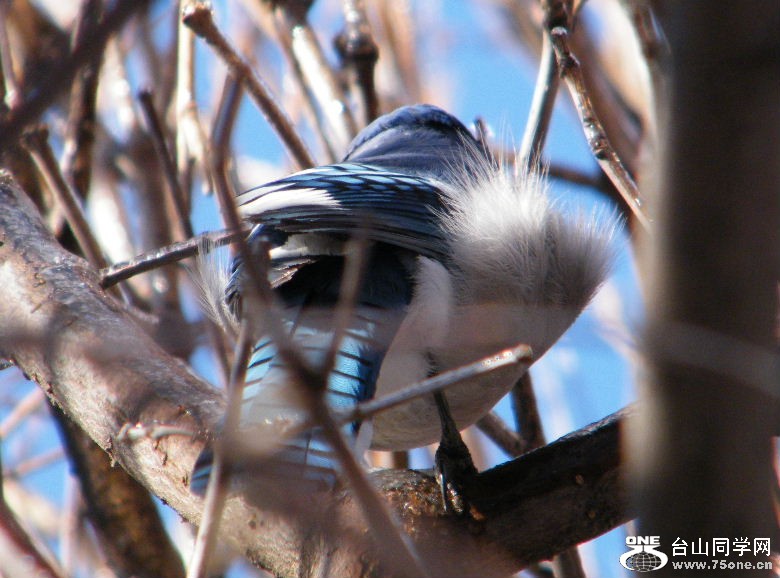 DSCF3034.JPG