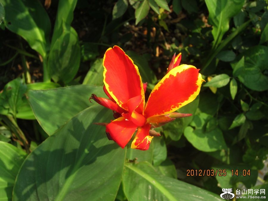 IMG_1062.jpg