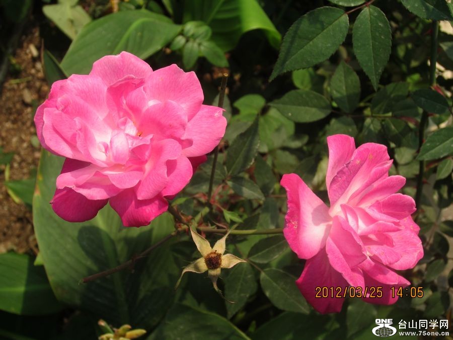IMG_1064.jpg