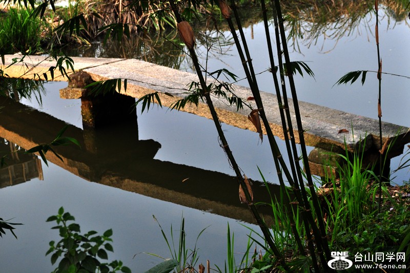 DSC_3832.JPG