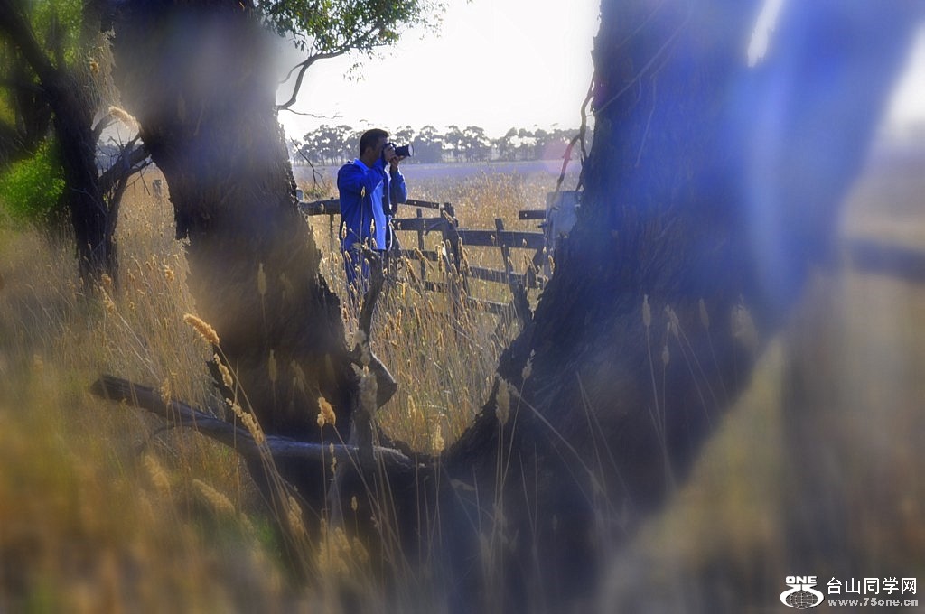 _DSC0050 [1024x768].JPG