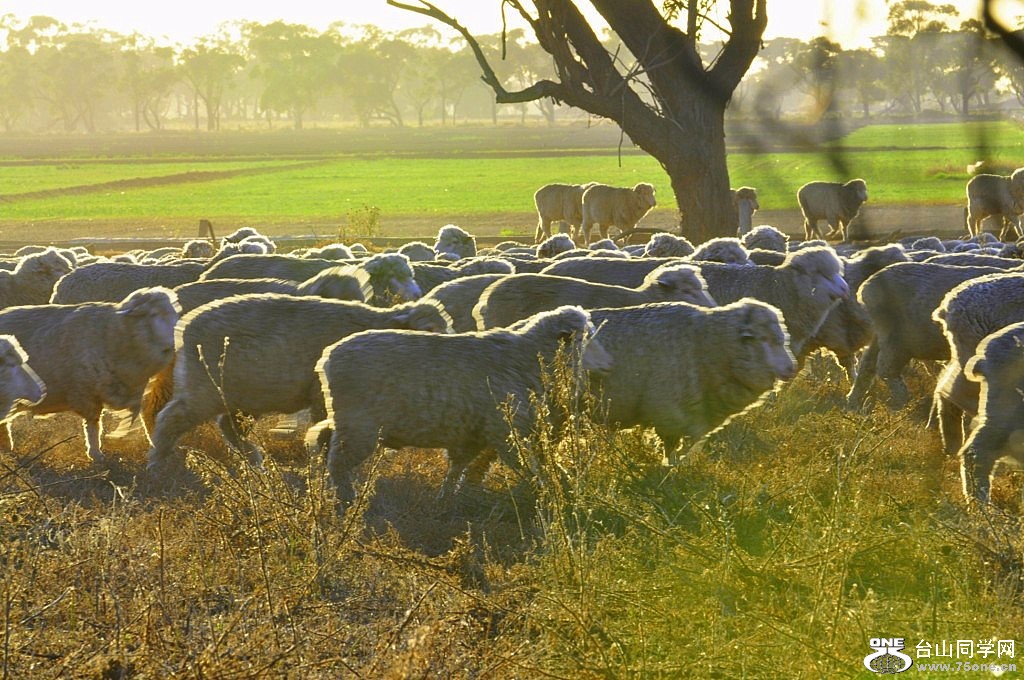 _DSC0010 [1024x768].JPG