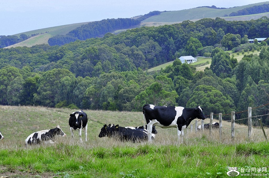 _DSC0417 [1024x768].JPG