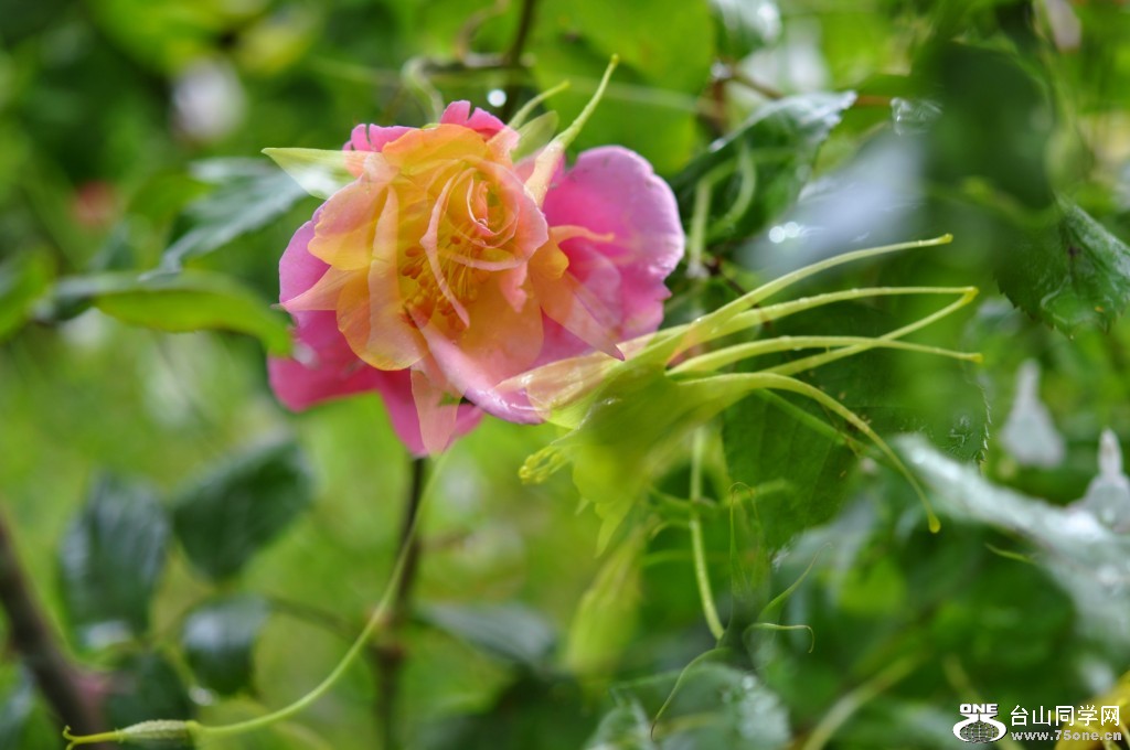 _DSC0148 [1024x768].JPG