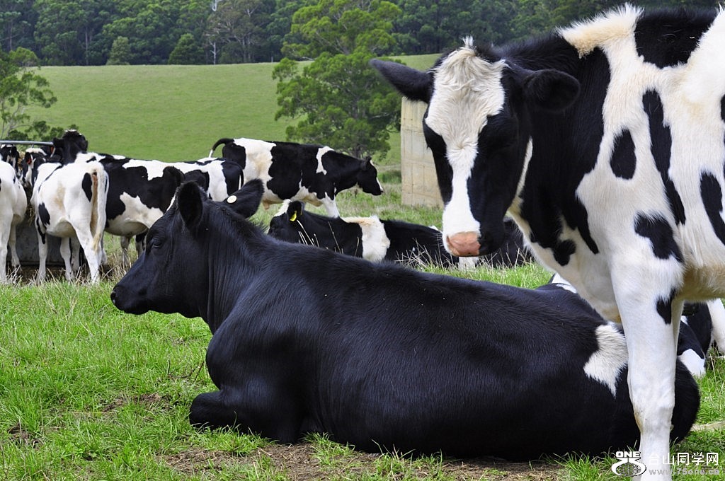 _DSC0431 [1024x768].JPG