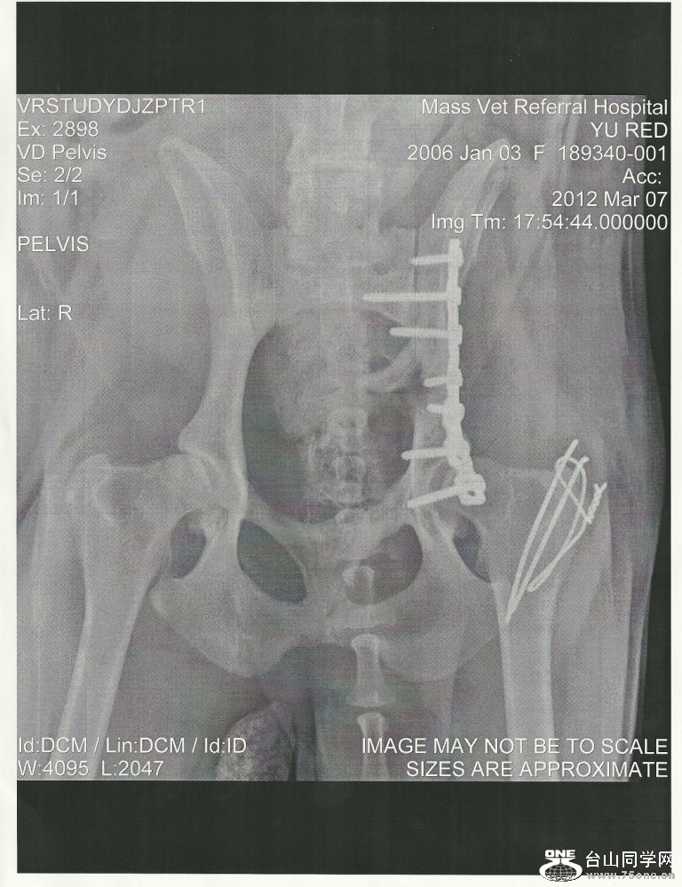 red-x-ray.JPG