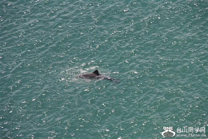 IMG_1004 (Small).JPG