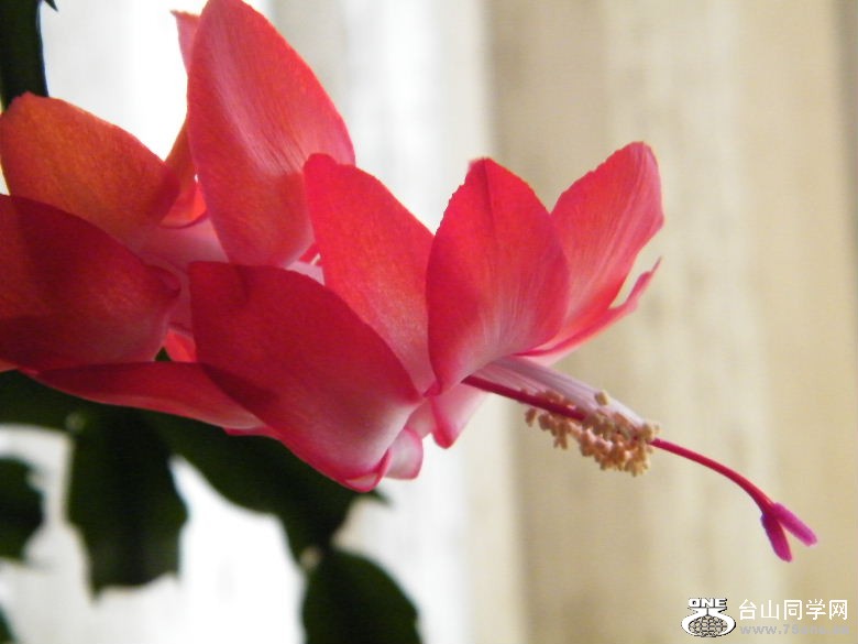 DSCF2380.JPG