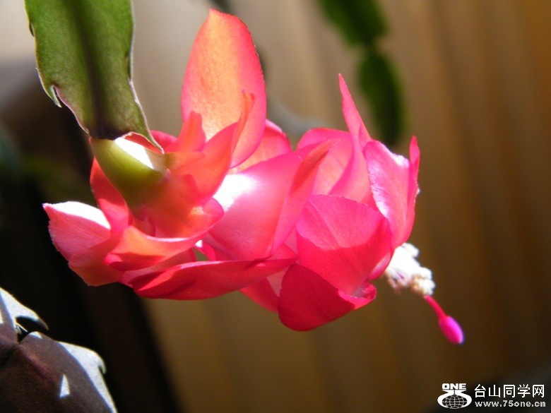DSCF3061.JPG