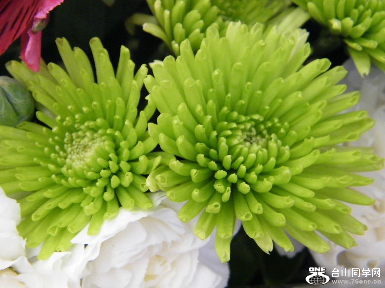 DSCF2359.JPG