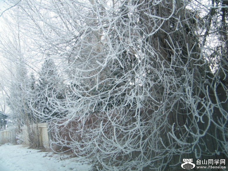 DSCF2084.JPG
