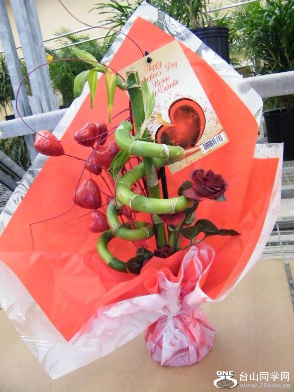DSCF2369.JPG