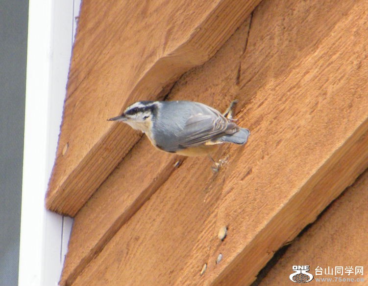 DSCF2887.JPG
