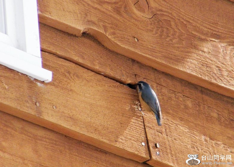 DSCF2869.JPG