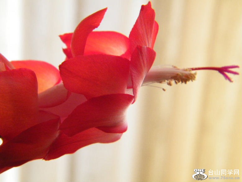 DSCF2149.JPG