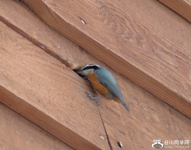 2012_031610059.JPG