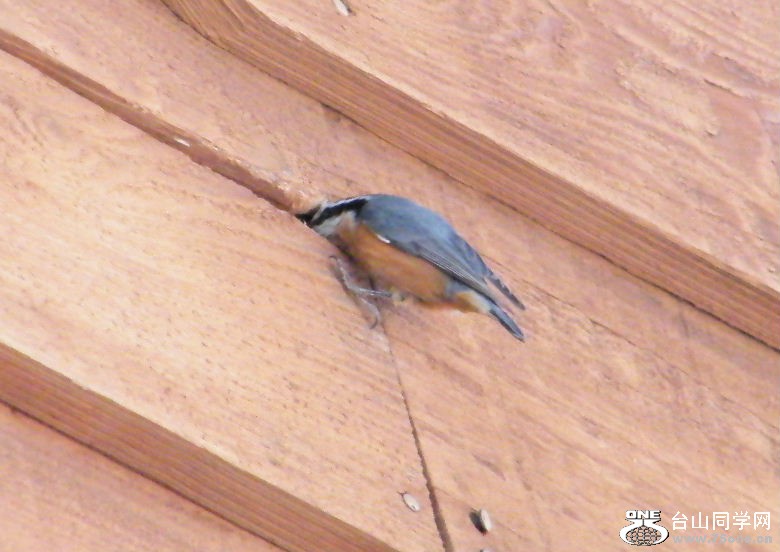 DSCF2912.JPG