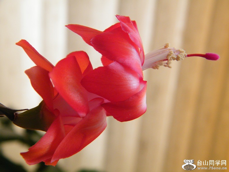 DSCF3069.JPG
