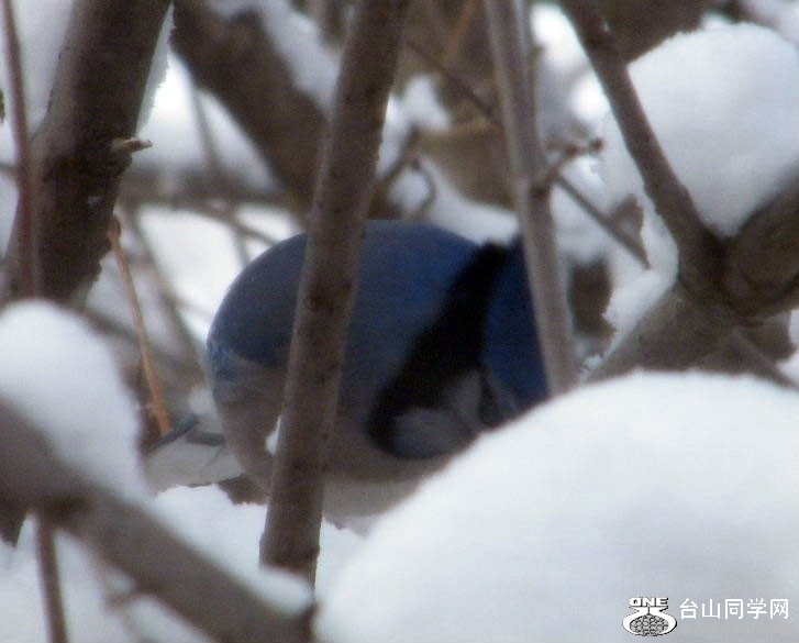 DSCF2711.JPG