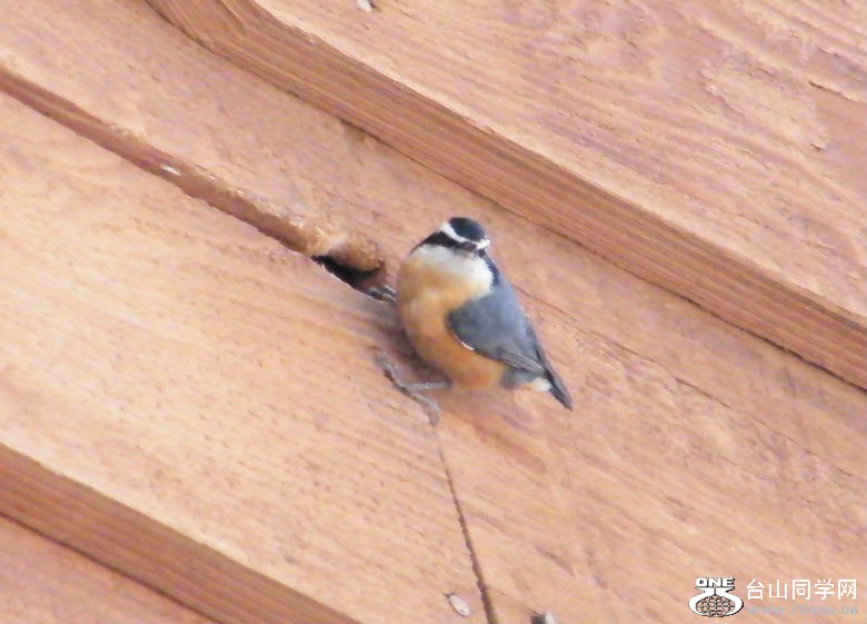 DSCF2913.JPG