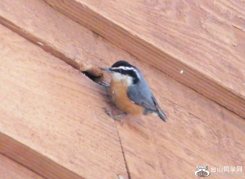 DSCF2910.JPG