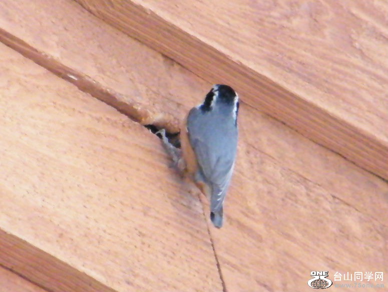DSCF2907.JPG