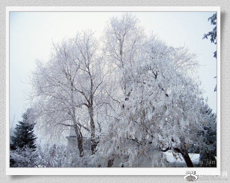 DSCF2186b=.jpg