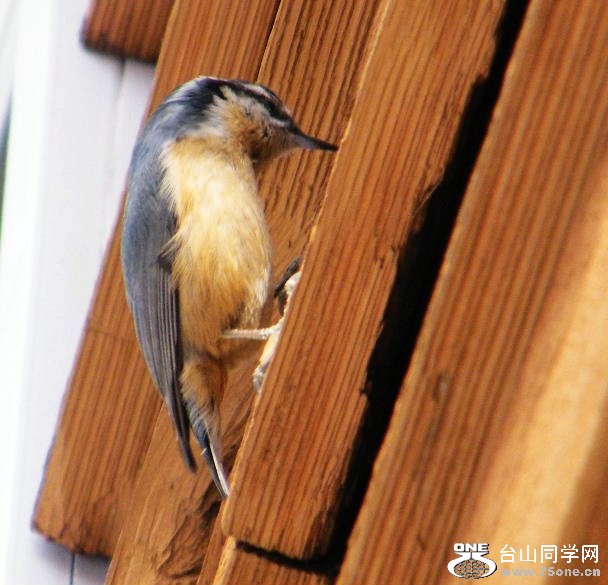 DSCF2882=.jpg