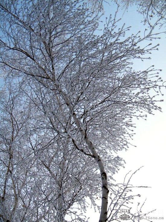 DSCF2104=.jpg