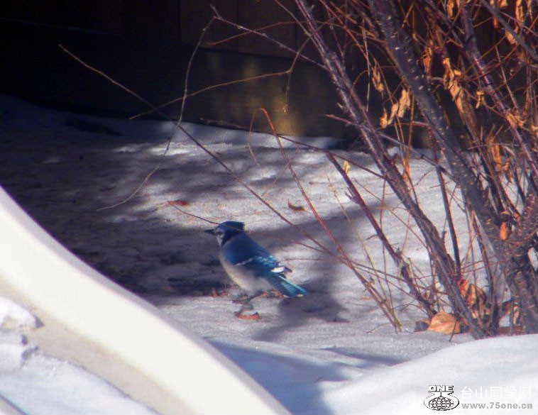 DSCF2035.JPG