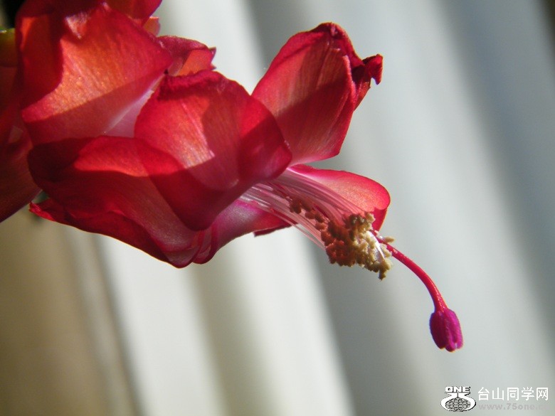 DSCF7351.JPG