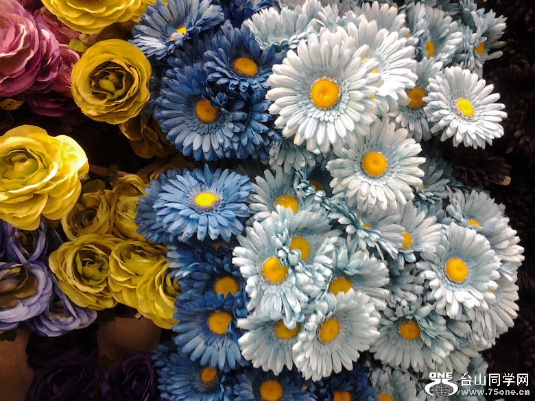 2012-01-27 16.28.49.jpg