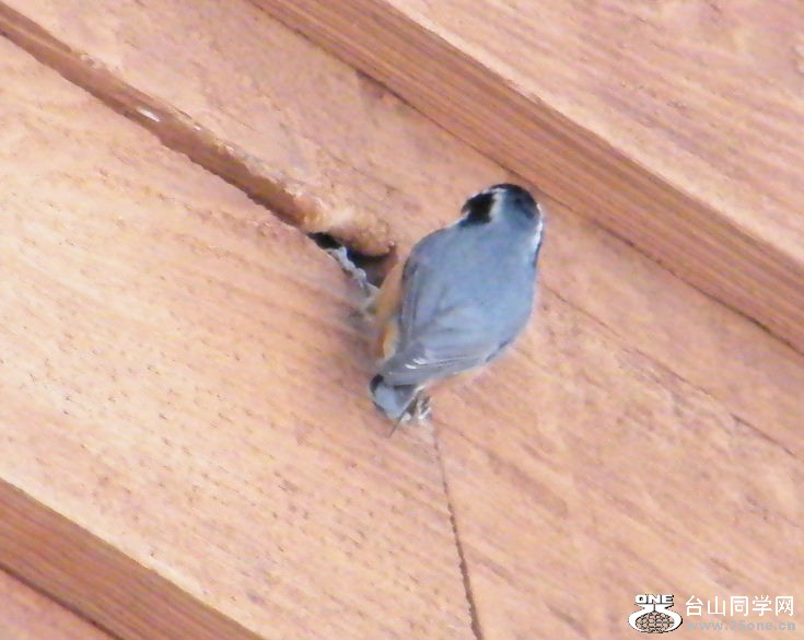 DSCF2902.JPG