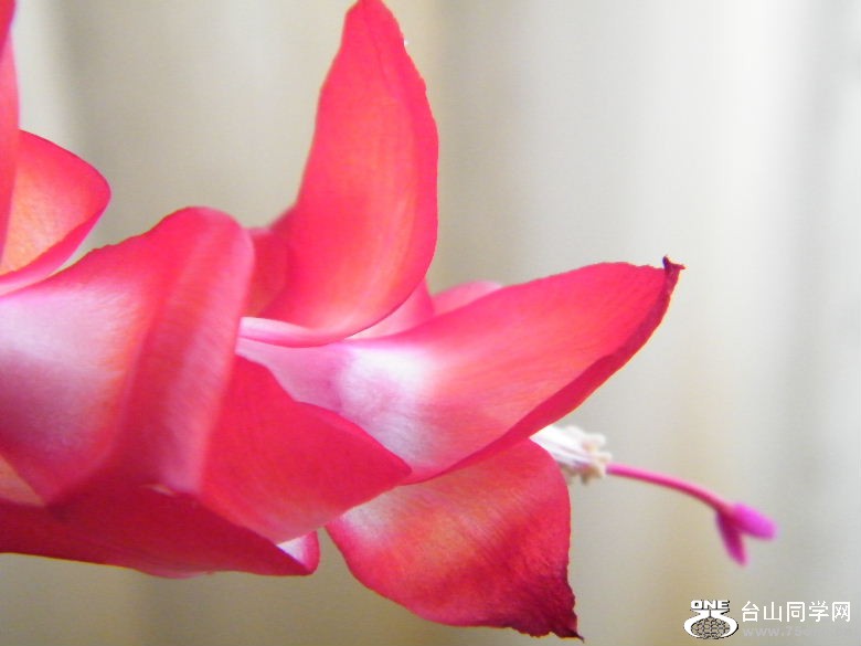 DSCF2398.JPG