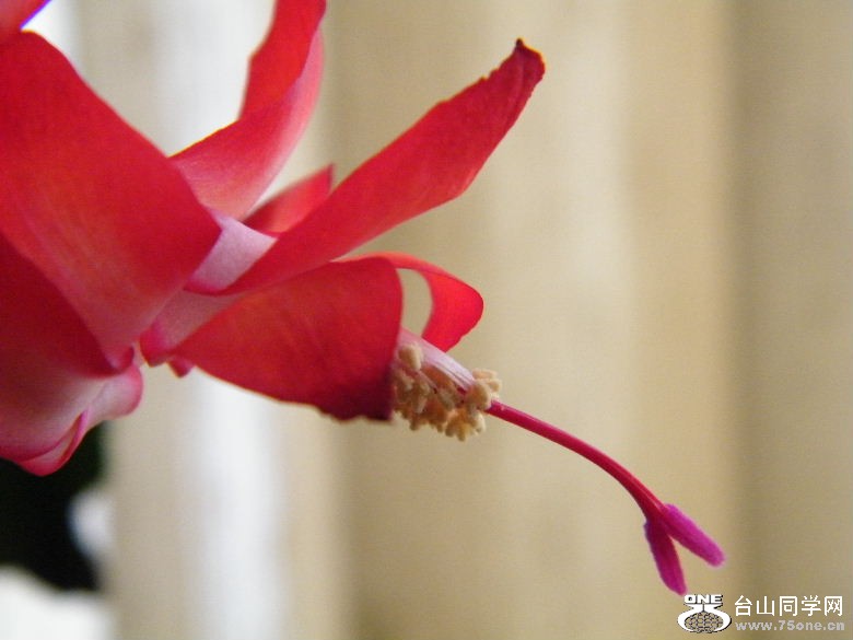 DSCF2395.JPG