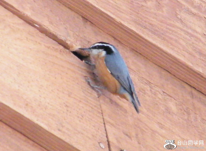 DSCF2900.JPG