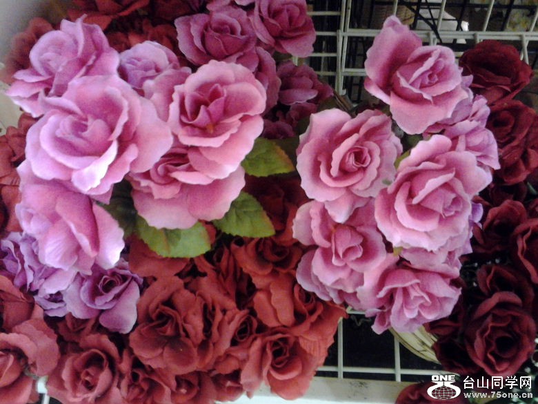 2012-01-27 16.29.42.jpg