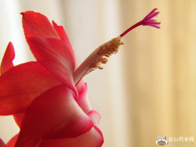 DSCF2150.JPG