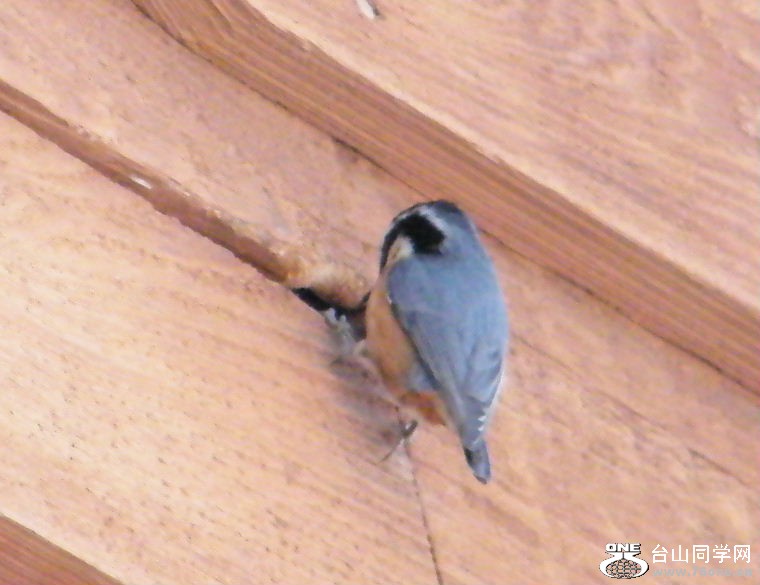 DSCF2904.JPG