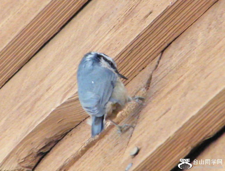 DSCF2924.JPG