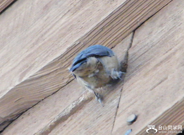 DSCF2933.JPG
