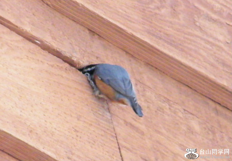 DSCF2908.JPG