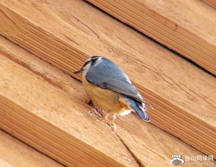 DSCF2875.JPG