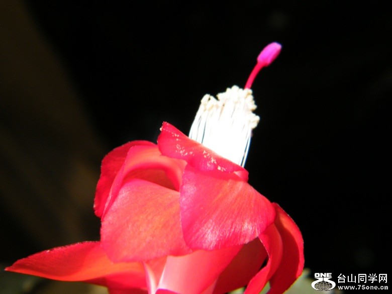 DSCF3064.JPG