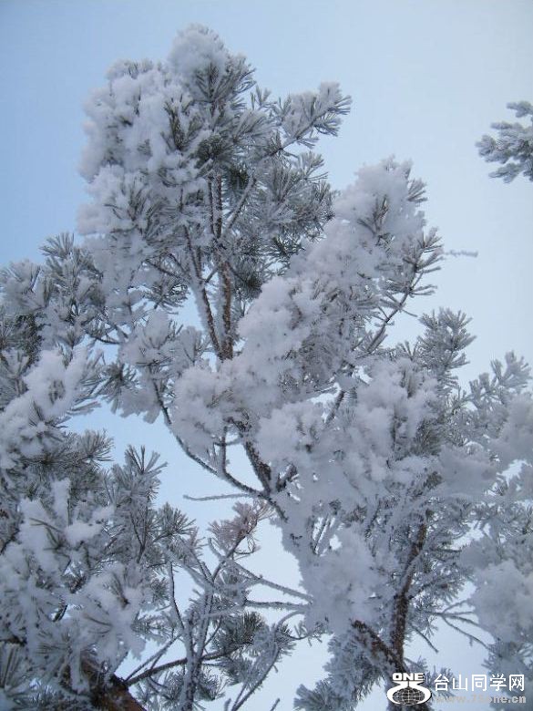 DSCF2097.JPG