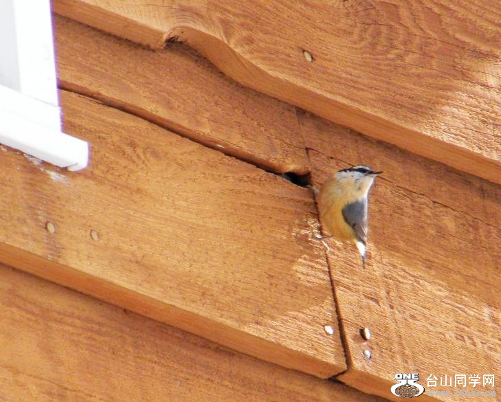 DSCF2870.JPG