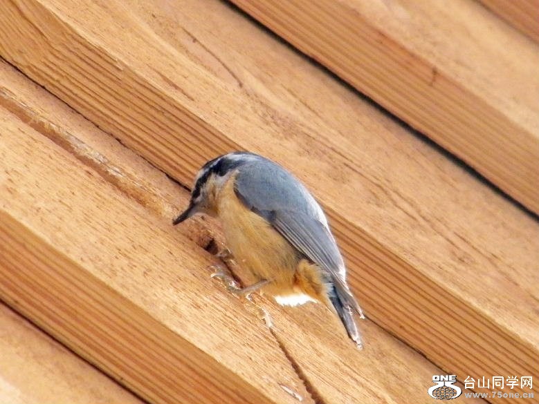 DSCF2876.JPG