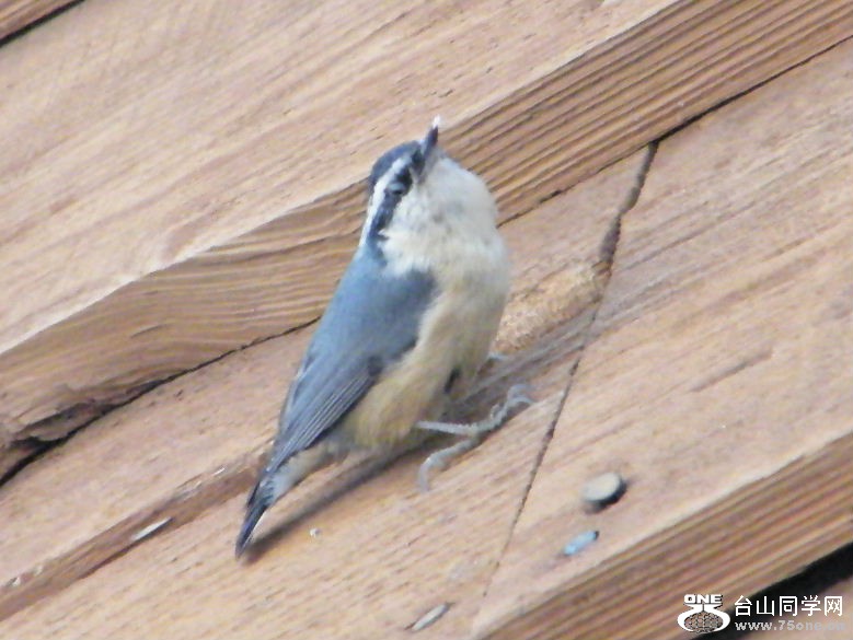 DSCF2931.JPG